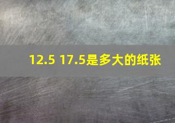 12.5 17.5是多大的纸张